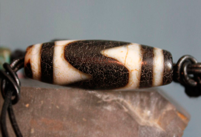 Бусина Дзи - Зуб тигра